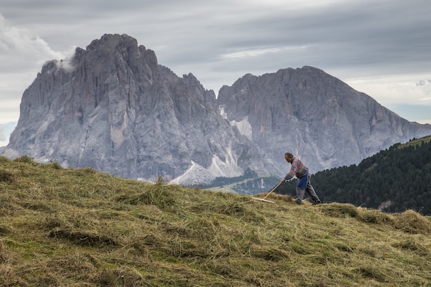 Beautiful shot of a farmer raking the field with Puez-Geisler Nature Park, Italy