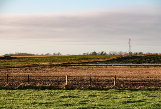 Free Photo beautiful shot of a field with white clouds in a clear sky