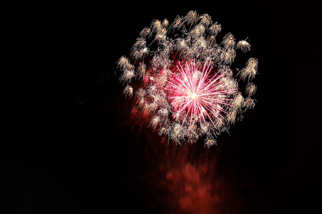 Beautiful shot of fireworks bursting in the night sky spreading a festive atmosphere