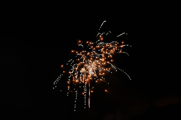 Free Photo beautiful shot of fireworks bursting in the night sky spreading a festive atmosphere