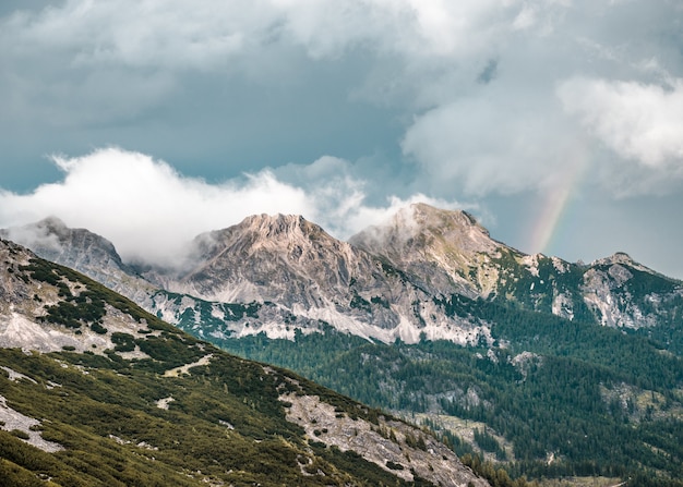 Free photo beautiful shot of the forested mountain under a blue cloudy sky in grober priel