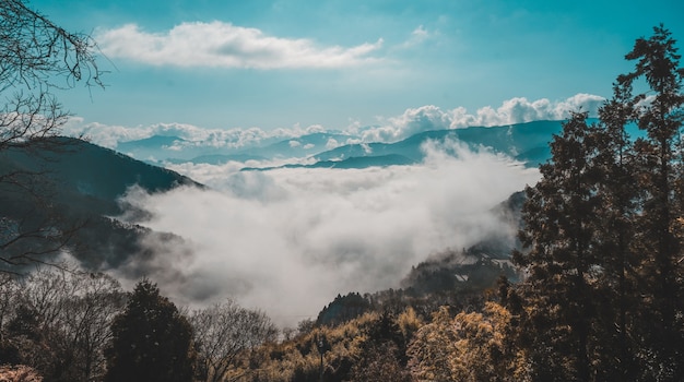 Beautiful shot of a forested mountain above the clouds under a blue sky