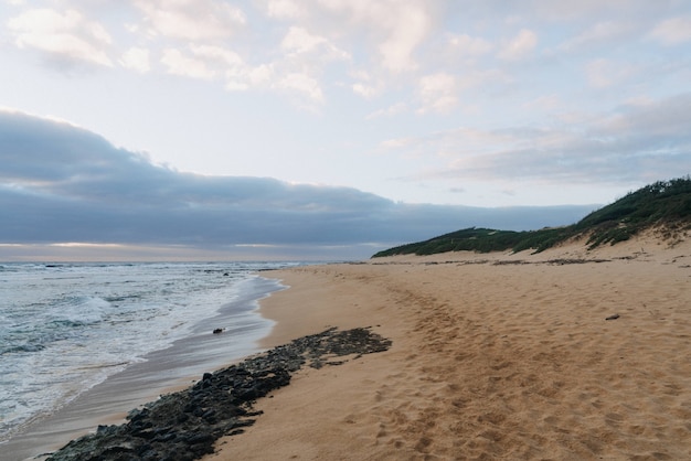 Free Photo beautiful shot of a golden sandy beach with a cloudy sky