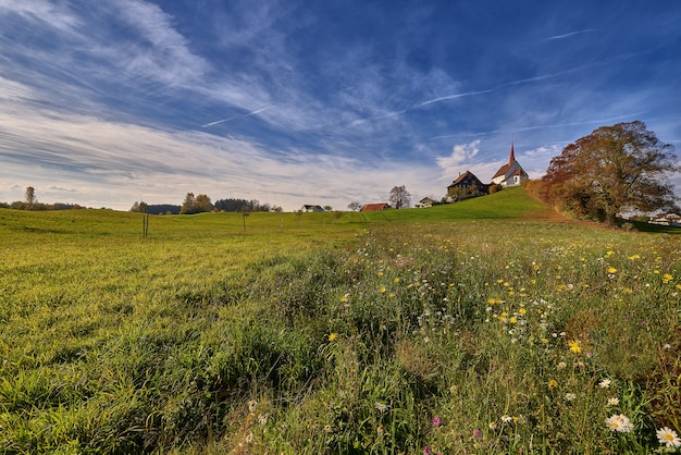 Free Photo beautiful shot of a grassy field with buildings in the distance under a blue sky at daytime