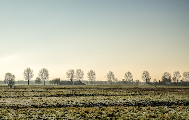 Free photo beautiful shot of a grassy field with buildings in the distance near leafless trees