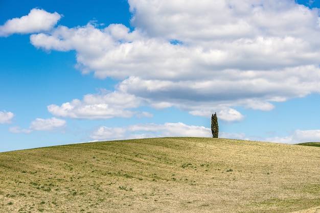 Free Photo beautiful shot of a grassy hill with a tree under the blue cloudy sky