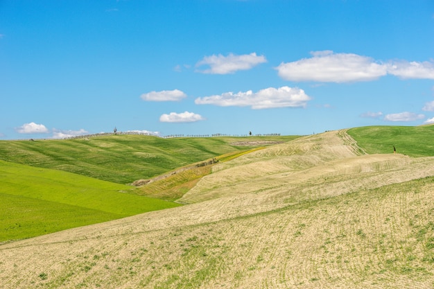 Beautiful shot of grassy hills with a blue sky in the at daytime