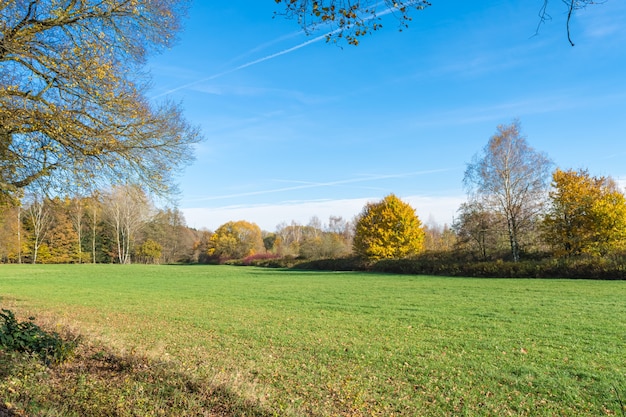 Free Photo beautiful shot of green landscape under clear blue sky