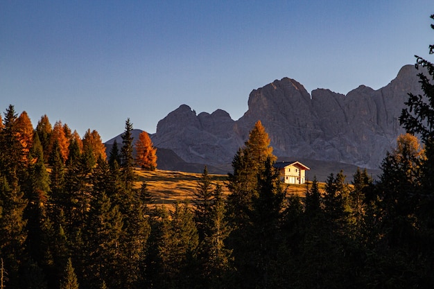 Beautiful shot of green trees with a house and mountain in the distance in dolomite Italy