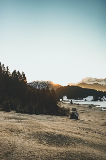 Beautiful shot of a hill with trees and a wooden hut and mountains in the background