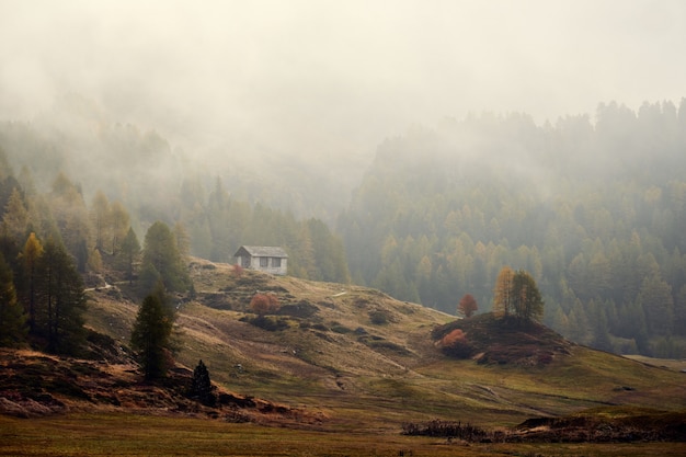 Free photo beautiful shot of a house on a grassy hill near forested mountains in a fog