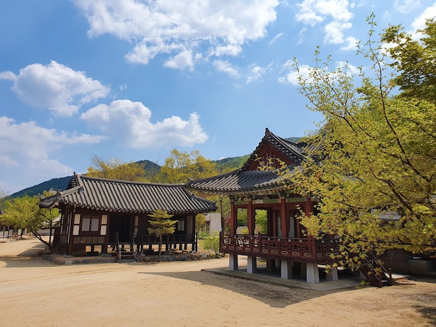 A beautiful shot of Japanese style houses under a blue sky