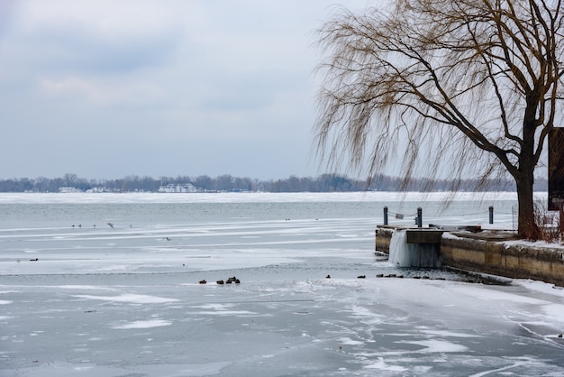 Beautiful shot of a lake and pier at winter, with the water frozen and dead trees during daylight