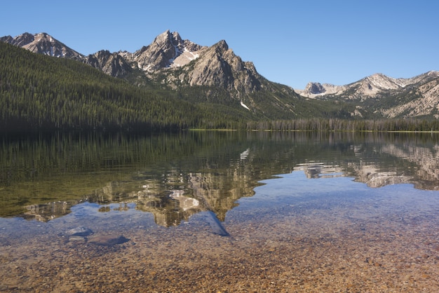 Beautiful shot of lake reflecting the trees and the mountains on the shore under a clear blue sky