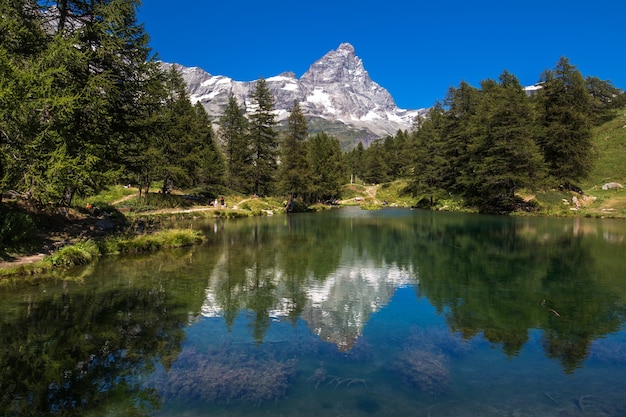 A beautiful shot of a lake reflecting the trees on the shore with a snowy mountain