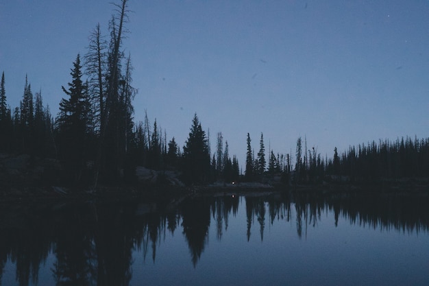 Free photo beautiful shot of a lake surrounded by a forest