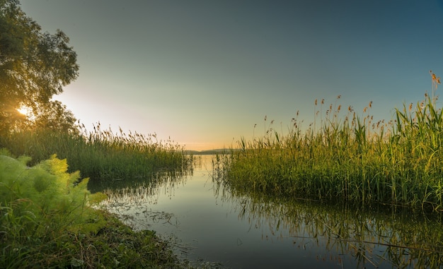 Free photo beautiful shot of a lake surrounded by trees and bushes at sunset