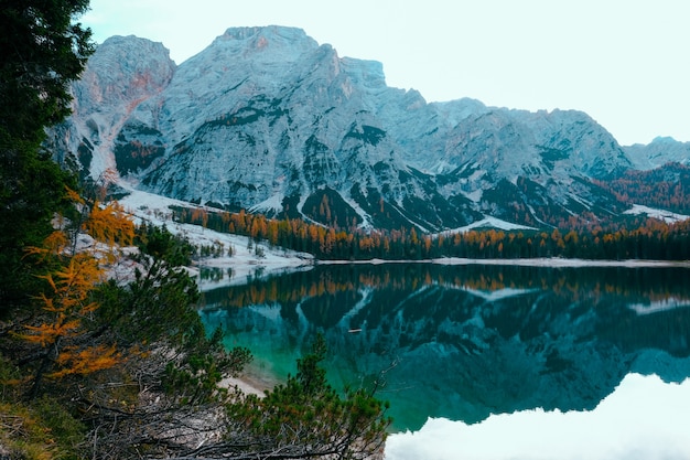 Beautiful shot of a lake surrounded by trees near snowy mountain