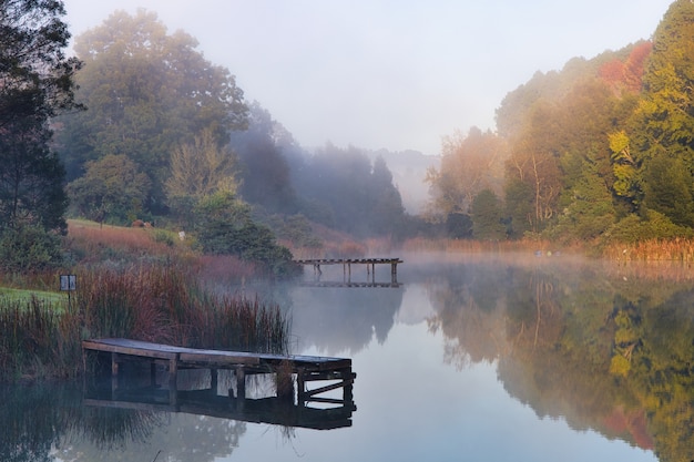 Beautiful shot of a lake surrounded by trees with a mist forming over it