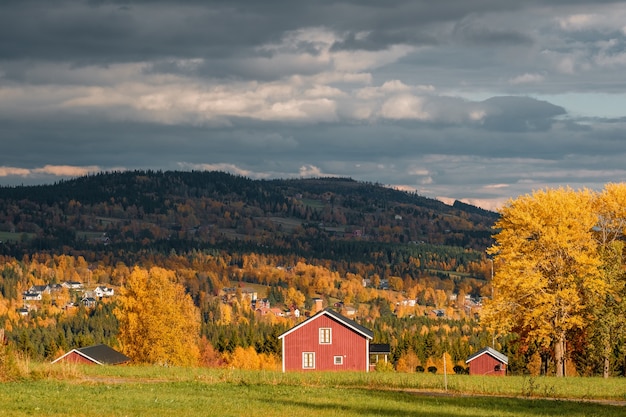 Free Photo beautiful shot of a landscape in autumn