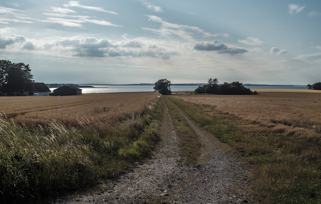 Free photo beautiful shot of a large field with car tracks on the ground in the countryside