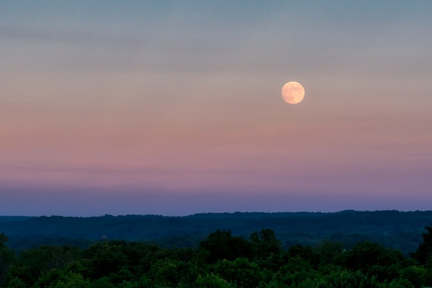 Free Photo beautiful shot of the large gray moon in the evening sky over a thick green forest