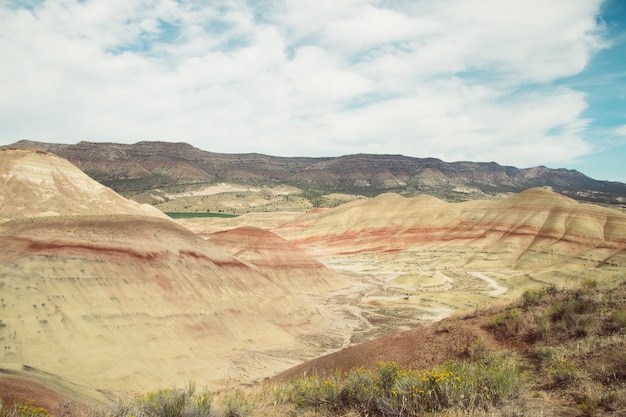 Beautiful shot of a large textured desert