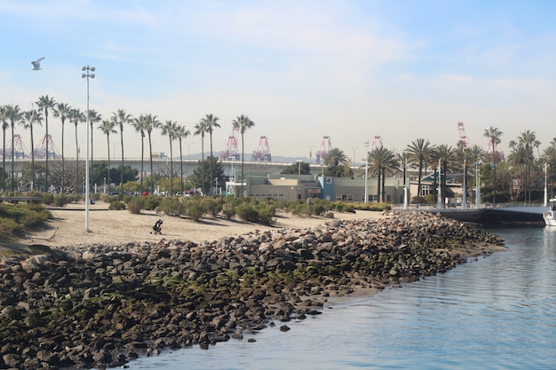 Beautiful shot of the Long Beach in California, USA