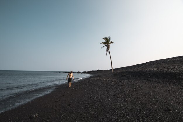 Beautiful shot of a male wearing swimsuit walking on the sandy seashore near a palm tree