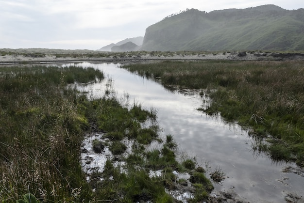 Free photo beautiful shot of a marsh with a mountain behind