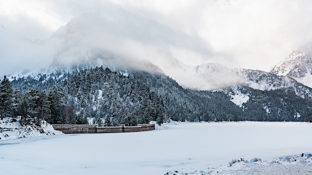 Beautiful shot of a misty day in a winter forest near a mountains