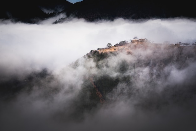 Free Photo beautiful shot of a mountain above the fog