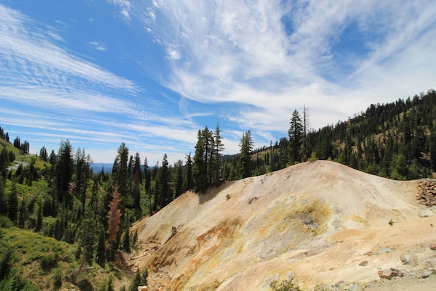 Beautiful shot of a mountain landscape covered with trees