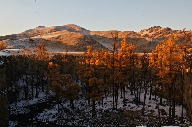 Free photo beautiful shot of a mountain landscape partially covered with snow