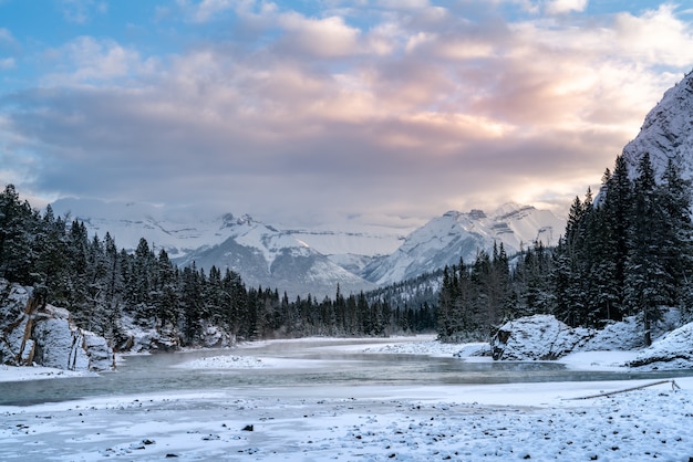 Free photo beautiful shot of a mountainous area covered with snow and surrounded by forests