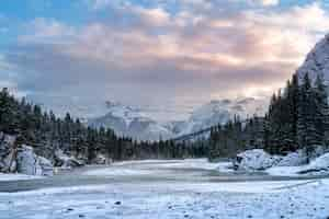 Free photo beautiful shot of a mountainous area covered with snow and surrounded by forests