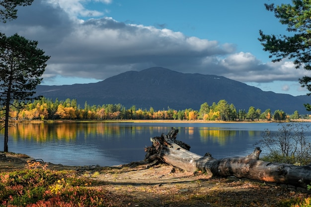 Free Photo beautiful shot of natural scenery in autumn