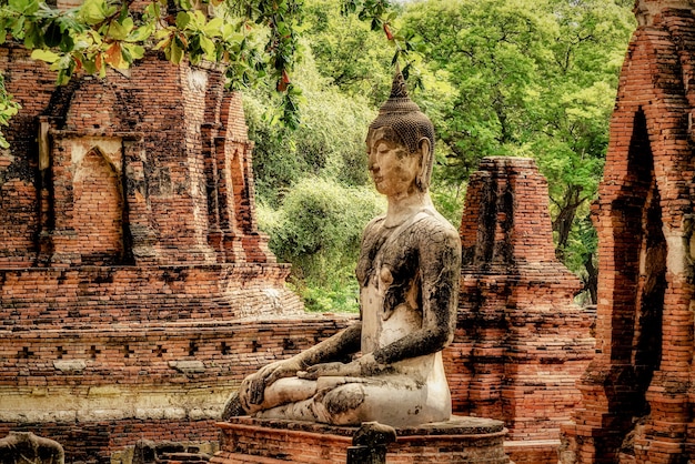 Beautiful shot of an old Buddha statue