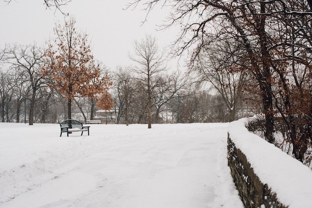 Free photo beautiful shot of the park covered with snow on a cold winter day