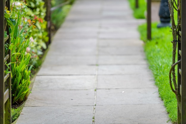 Free photo beautiful shot of a pathway in the park surrounded by grasses and flowers