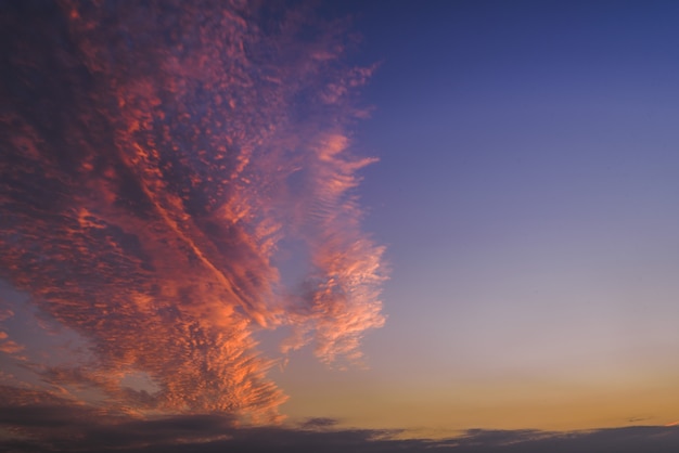 Free photo beautiful shot of a pink and purple clouds in the sky on clear blue background