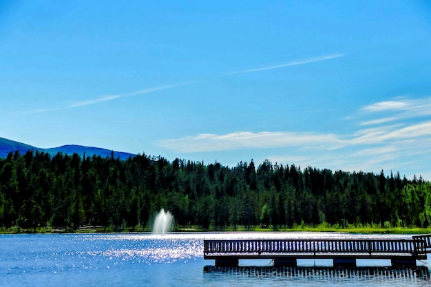 Beautiful shot of a pond with trees in the distance at daytime