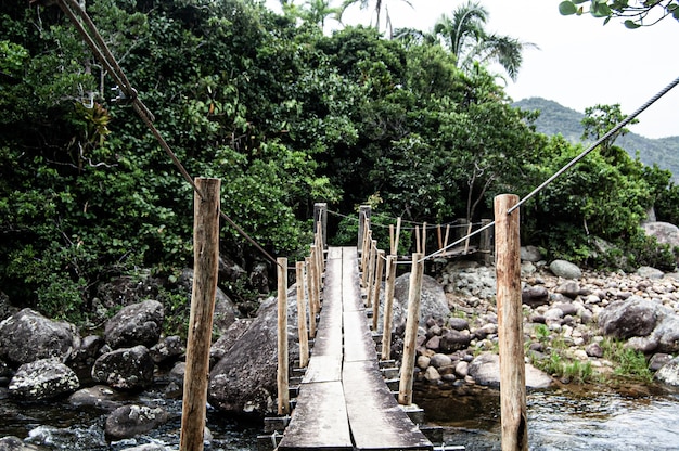 Beautiful shot of Ponta Negra over a river in the forest in Paraty, Brazil