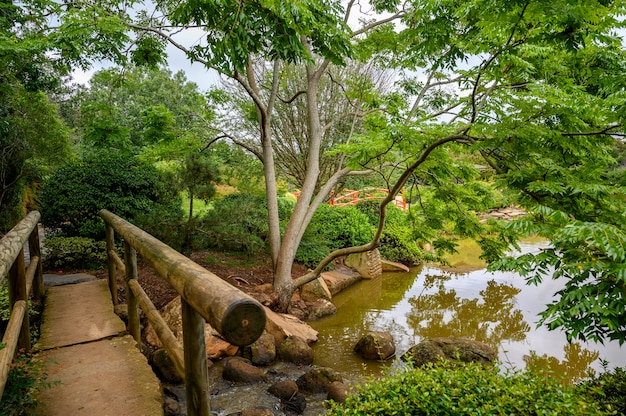 Free Photo beautiful shot of a public park in toowoomba,  queensland australia