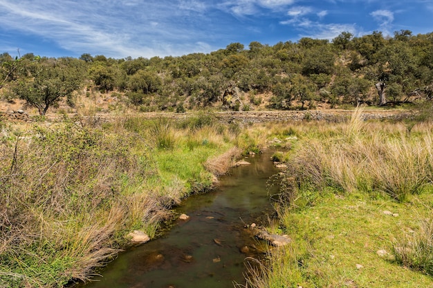 Beautiful shot of the river and the landscape in Salorino, Spain