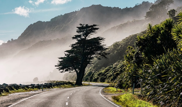 Free photo beautiful shot of a road in a foggy mountain at daytime