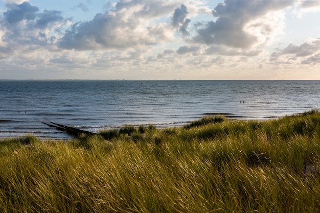 Free photo beautiful shot of a sandy beach under the cloudy sky in vlissingen, zeeland, netherlands