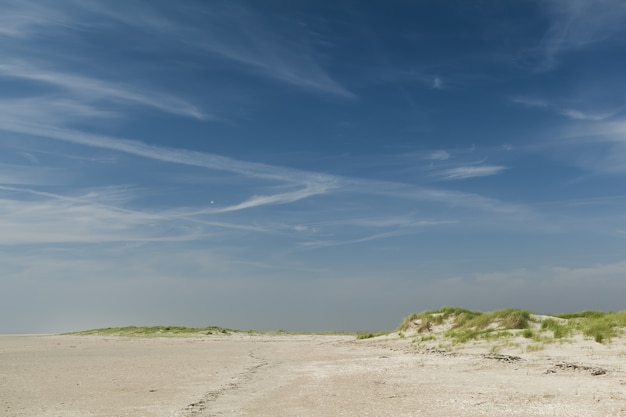 Free photo beautiful shot of a sandy seashore under a clear blue sky