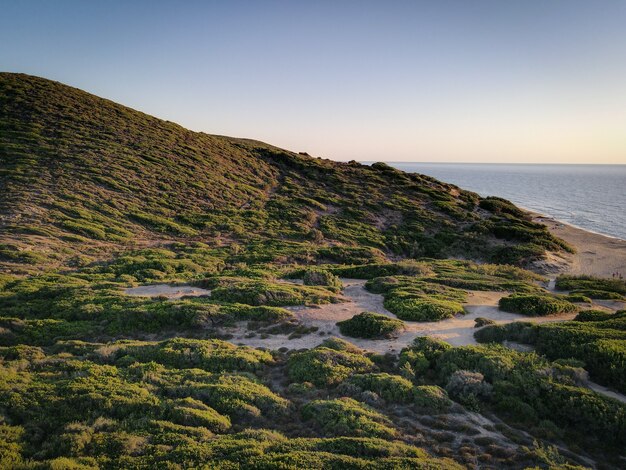 Beautiful shot of scenery, greenery on the seashore