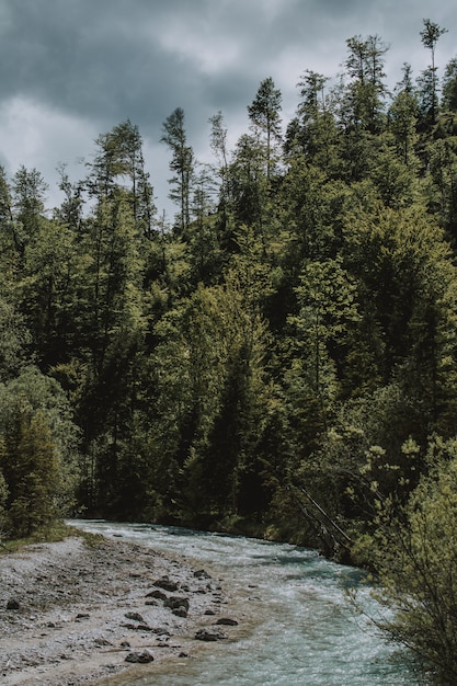 Beautiful shot of the scenery of the lake and forest with greenery